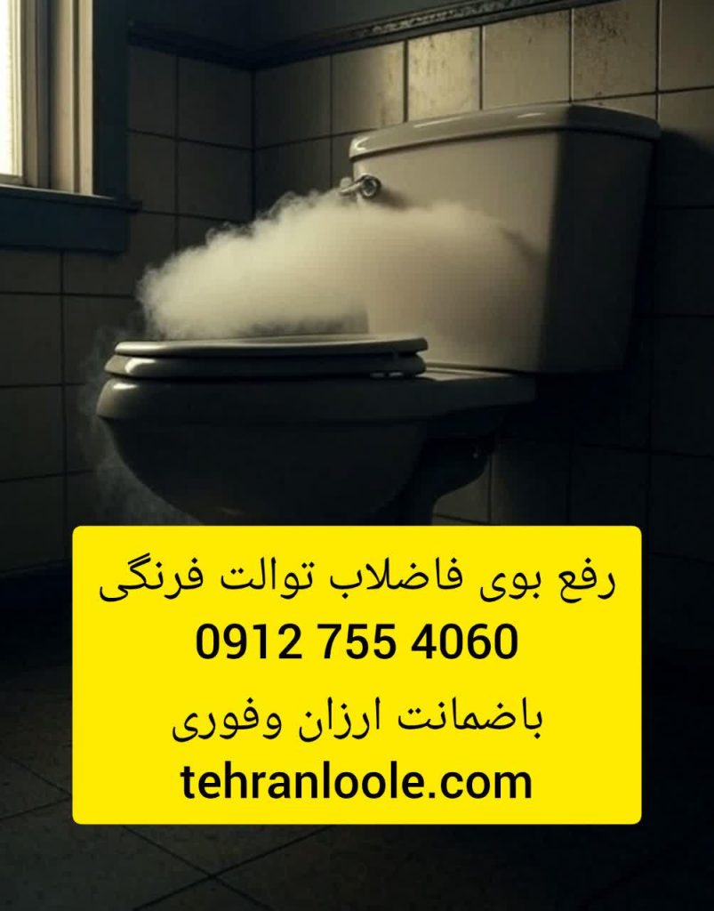 علت بوی توالت فرنگی وچگونگی حل ان
